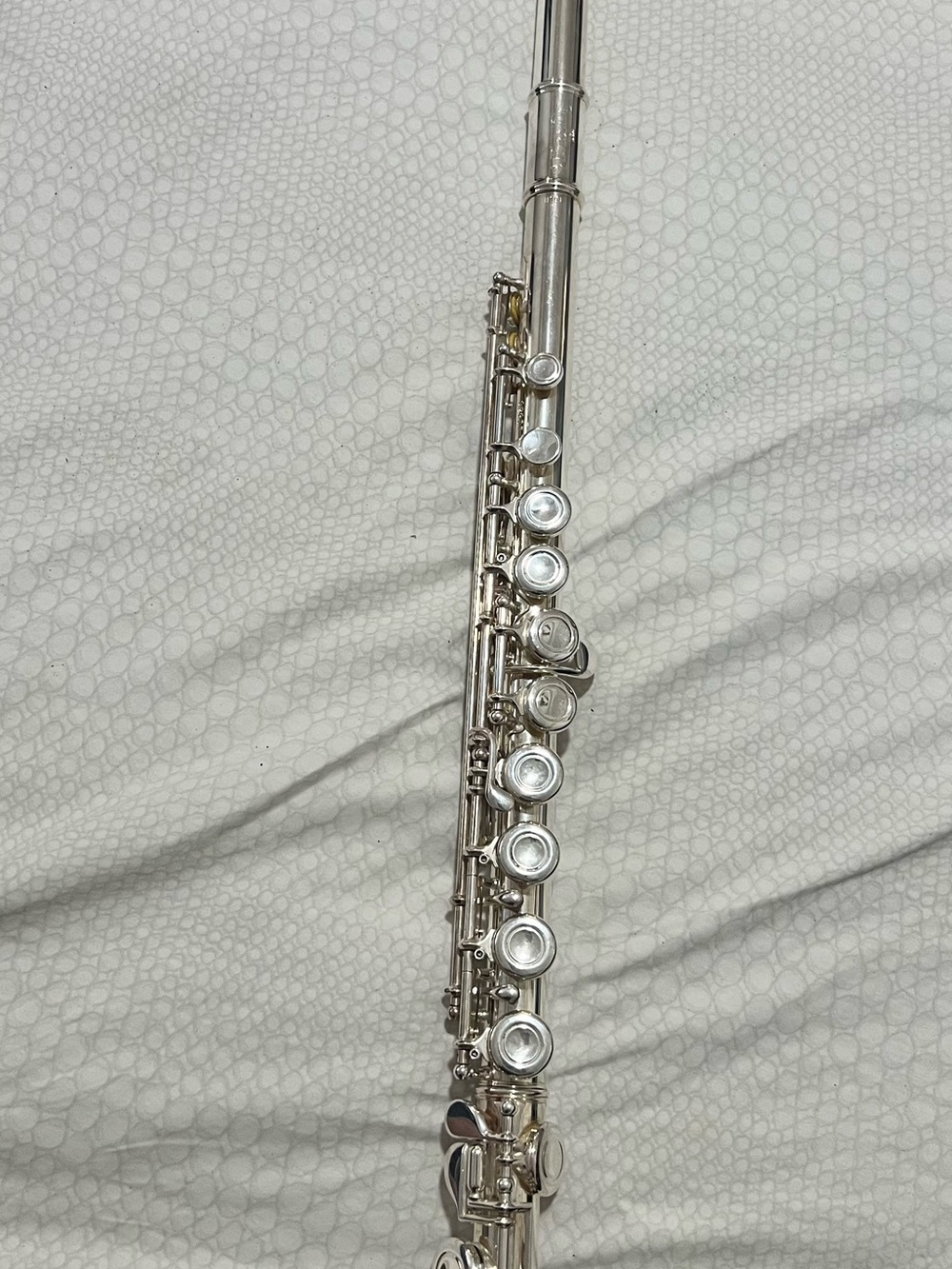 Vintage Blessing Silver Flute - Sleek Silver Finish Home Accent